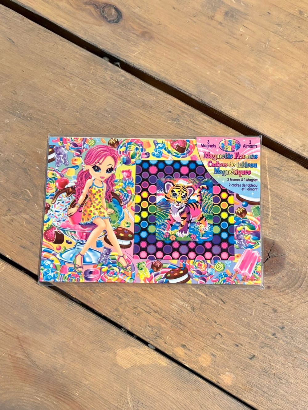 Nostalgic Lisa Frank Magnetic Frame Set